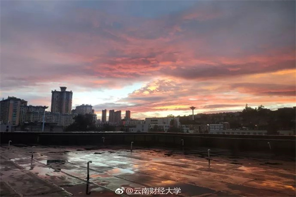 机构最新盯上的绩优股出炉!人形机器人龙头涨幅翻倍 这些低PE股处于超跌状态