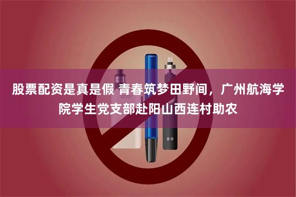 股票配资是真是假 青春筑梦田野间，广州航海学院学生党支部赴阳山西连村助农