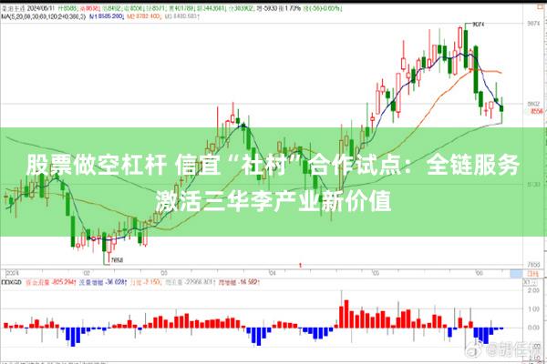 股票做空杠杆 信宜“社村”合作试点：全链服务激活三华李产业新价值