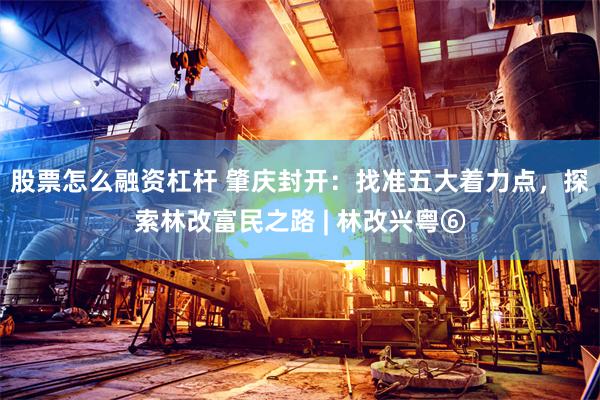 股票怎么融资杠杆 肇庆封开：找准五大着力点，探索林改富民之路 | 林改兴粤⑥