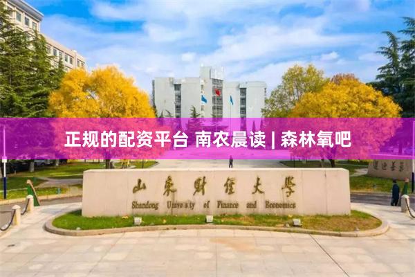 正规的配资平台 南农晨读 | 森林氧吧