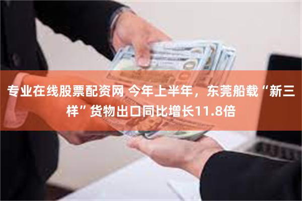 专业在线股票配资网 今年上半年，东莞船载“新三样”货物出口同比增长11.8倍