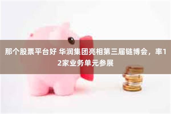 那个股票平台好 华润集团亮相第三届链博会，率12家业务单元参展