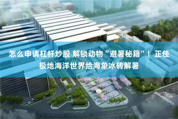 怎么申请杠杆炒股 解锁动物“避暑秘籍”！正佳极地海洋世界给海象冰砖解暑