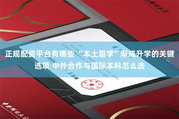 正规配资平台有哪些 “本土留学”渐成升学的关键选项 中外合作与国际本科怎么选