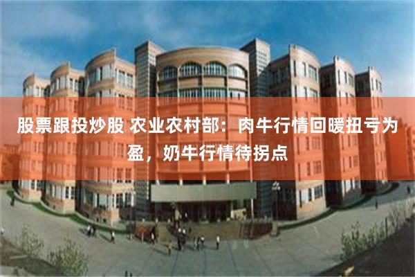 股票跟投炒股 农业农村部：肉牛行情回暖扭亏为盈，奶牛行情待拐点
