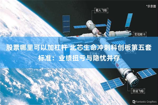 股票哪里可以加杠杆 北芯生命冲刺科创板第五套标准：业绩扭亏与隐忧并存