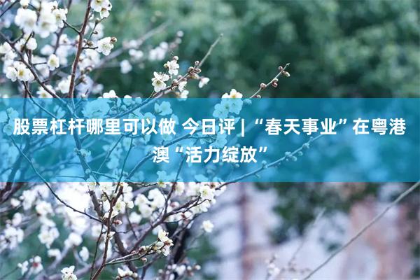 股票杠杆哪里可以做 今日评 | “春天事业”在粤港澳“活力绽放”