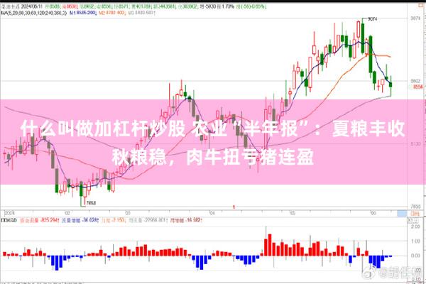 什么叫做加杠杆炒股 农业“半年报”：夏粮丰收秋粮稳，肉牛扭亏猪连盈