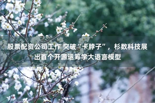 股票配资公司工作 突破“卡脖子”，杉数科技展出首个开源运筹学大语言模型