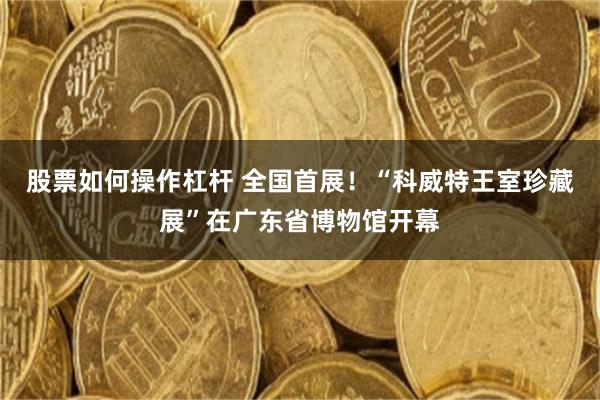 股票如何操作杠杆 全国首展！“科威特王室珍藏展”在广东省博物馆开幕
