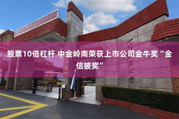 股票10倍杠杆 中金岭南荣获上市公司金牛奖“金信披奖”