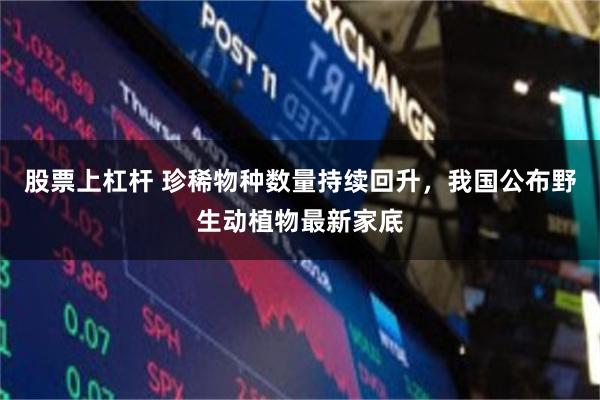 股票上杠杆 珍稀物种数量持续回升，我国公布野生动植物最新家底