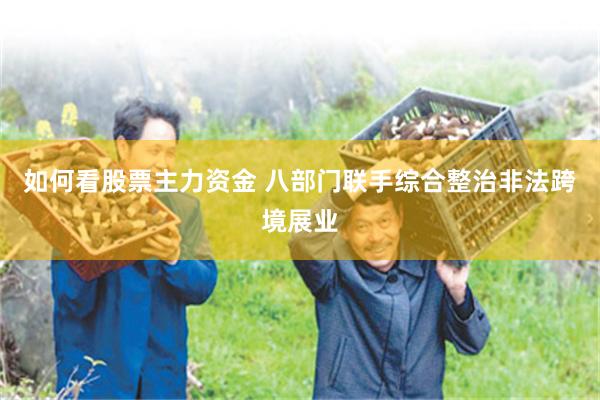 如何看股票主力资金 八部门联手综合整治非法跨境展业