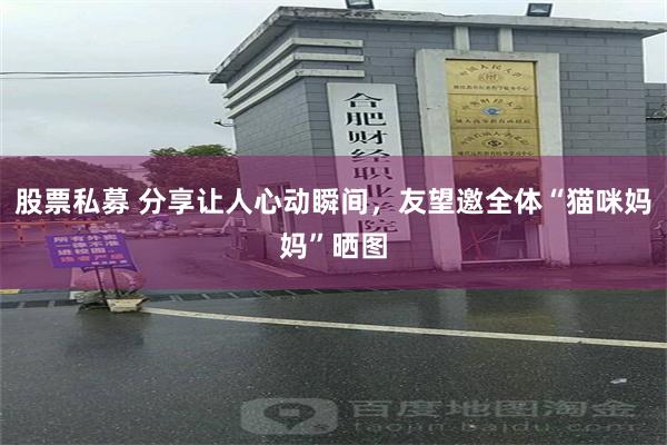 股票私募 分享让人心动瞬间，友望邀全体“猫咪妈妈”晒图