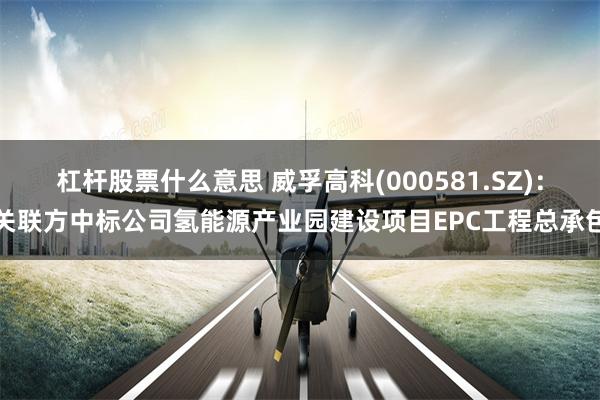 杠杆股票什么意思 威孚高科(000581.SZ):关联方中标公司氢能源产业园建设项目EPC工程总承包