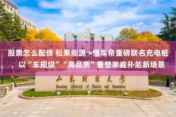 股票怎么配债 松果能源 ×懂车帝重磅联名充电桩，以“车规级”“高品质”重塑家庭补能新场景