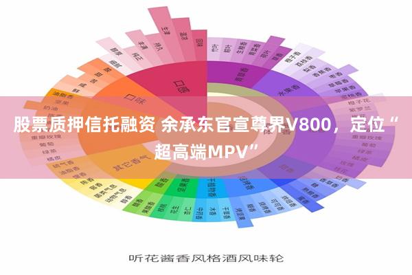 股票质押信托融资 余承东官宣尊界V800，定位“超高端MPV”