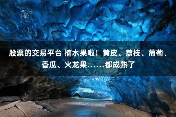 股票的交易平台 摘水果啦！黄皮、荔枝、葡萄、香瓜、火龙果……都成熟了