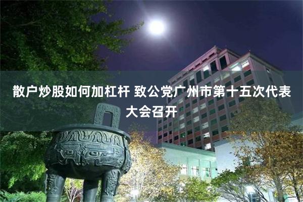 散户炒股如何加杠杆 致公党广州市第十五次代表大会召开