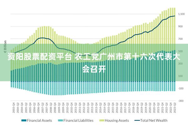 资阳股票配资平台 农工党广州市第十六次代表大会召开