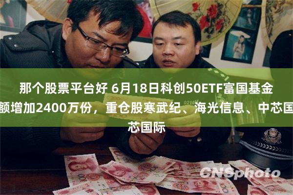 那个股票平台好 6月18日科创50ETF富国基金份额增加2400万份，重仓股寒武纪、海光信息、中芯国际