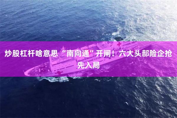 炒股杠杆啥意思 “南向通”开闸！六大头部险企抢先入局
