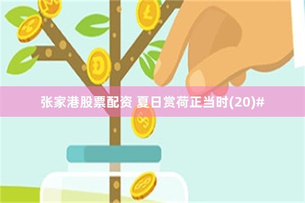 张家港股票配资 夏日赏荷正当时(20)#