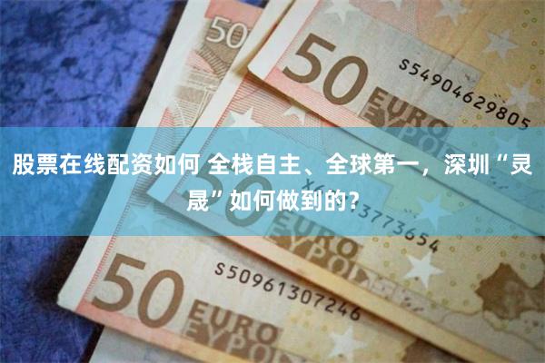 股票在线配资如何 全栈自主、全球第一，深圳“灵晟”如何做到的？