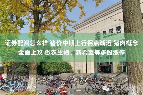 证券配资怎么样 猪价中期上行拐点渐近 猪肉概念全面上攻 傲农生物、新希望等多股涨停