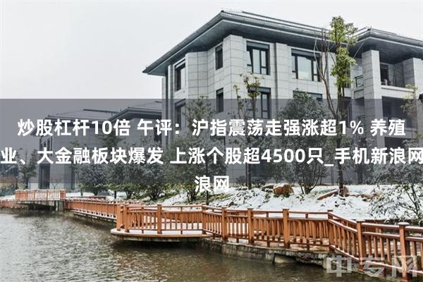 炒股杠杆10倍 午评：沪指震荡走强涨超1% 养殖业、大金融板块爆发 上涨个股超4500只_手机新浪网