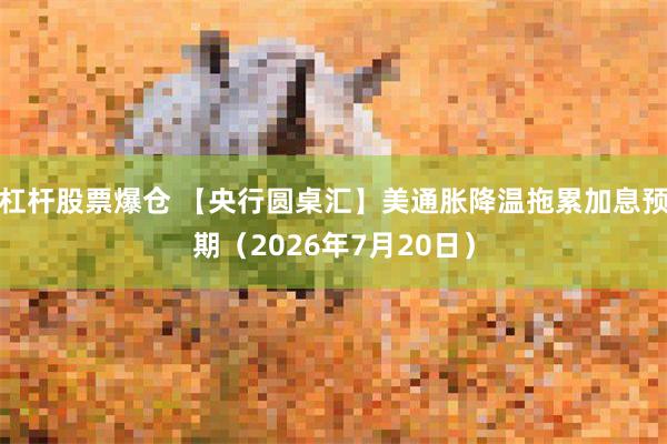 杠杆股票爆仓 【央行圆桌汇】美通胀降温拖累加息预期(2026年7月20日)