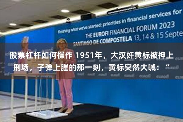 股票杠杆如何操作 1951年，大汉奸黄标被押上刑场，子弹上膛的那一刻，黄标突然大喊：“