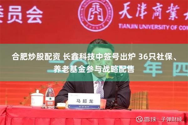 合肥炒股配资 长鑫科技中签号出炉 36只社保、养老基金参与战略配售