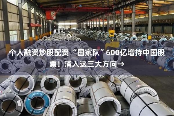 个人融资炒股配资 “国家队”600亿增持中国股票！涌入这三大方向→