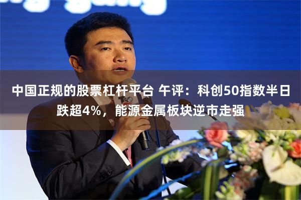 中国正规的股票杠杆平台 午评：科创50指数半日跌超4%，能源金属板块逆市走强
