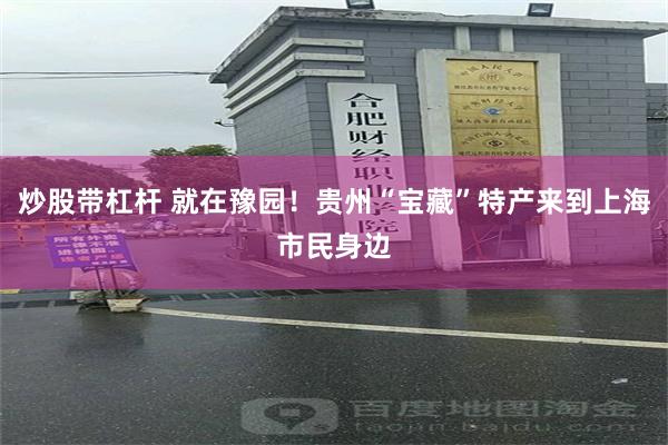 炒股带杠杆 就在豫园！贵州“宝藏”特产来到上海市民身边