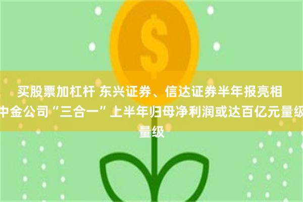 买股票加杠杆 东兴证券、信达证券半年报亮相 中金公司“三合一”上半年归母净利润或达百亿元量级