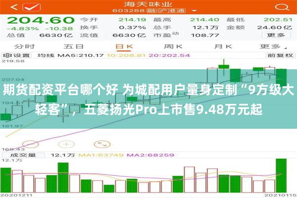 期货配资平台哪个好 为城配用户量身定制“9方级大轻客”，五菱扬光Pro上市售9.48万元起