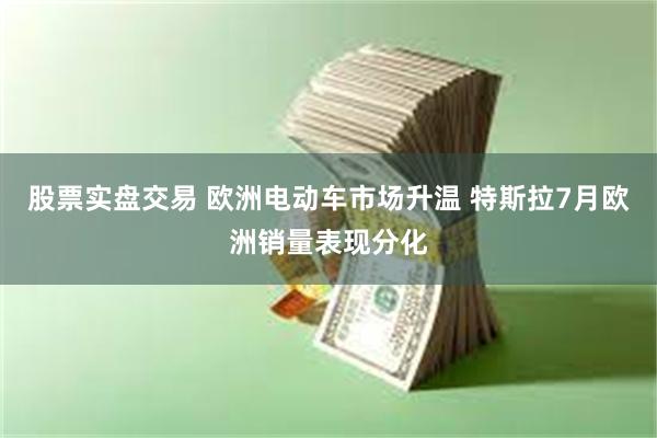 股票实盘交易 欧洲电动车市场升温 特斯拉7月欧洲销量表现分化