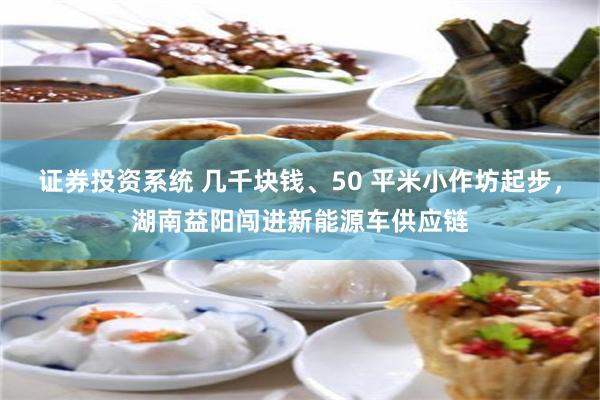 证券投资系统 几千块钱、50 平米小作坊起步，湖南益阳闯进新能源车供应链