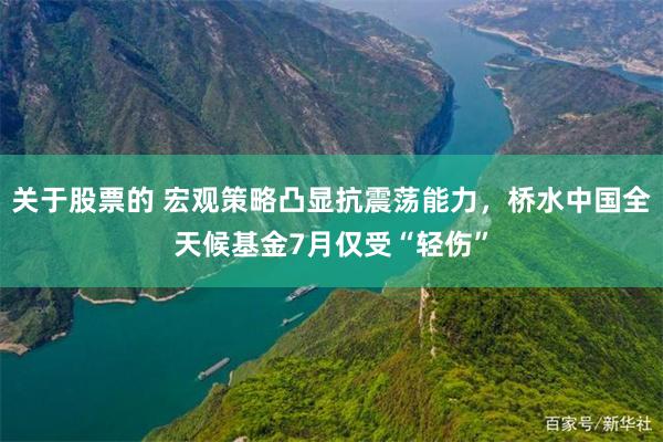 关于股票的 宏观策略凸显抗震荡能力，桥水中国全天候基金7月仅受“轻伤”