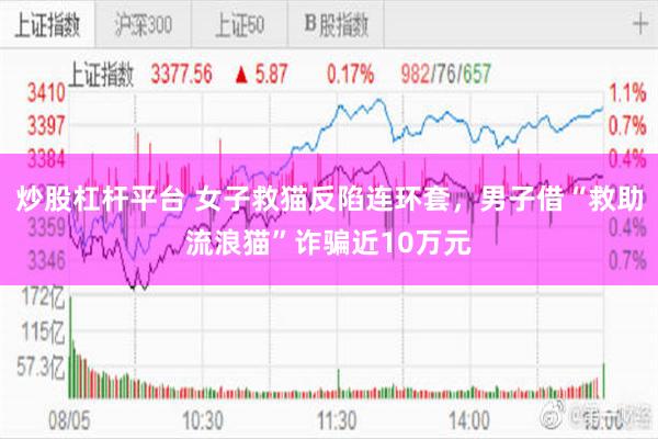炒股杠杆平台 女子救猫反陷连环套，男子借“救助流浪猫”诈骗近10万元