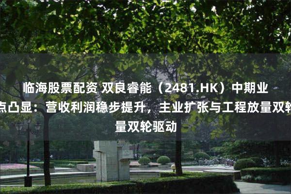 临海股票配资 双良睿能（2481.HK）中期业绩亮点凸显：营收利润稳步提升，主业扩张与工程放量双轮驱动