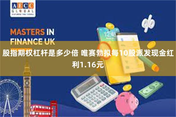 股指期权杠杆是多少倍 唯赛勃拟每10股派发现金红利1.16元
