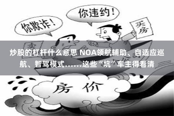 炒股的杠杆什么意思 NOA领航辅助、自适应巡航、智驾模式……这些“坑”车主得看清