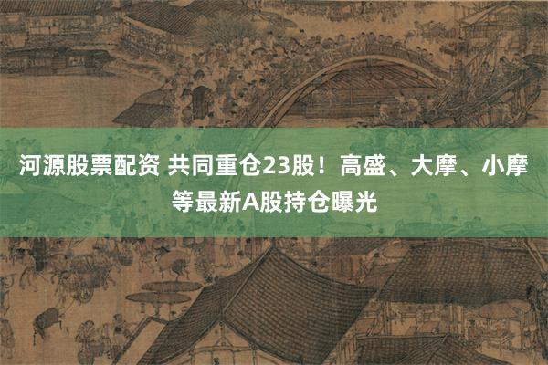 河源股票配资 共同重仓23股！高盛、大摩、小摩等最新A股持仓曝光