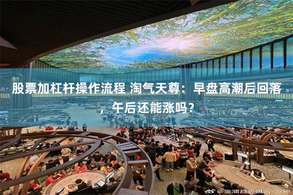 股票加杠杆操作流程 淘气天尊：早盘高潮后回落，午后还能涨吗？