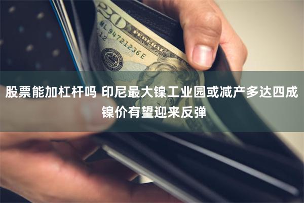股票能加杠杆吗 印尼最大镍工业园或减产多达四成 镍价有望迎来反弹