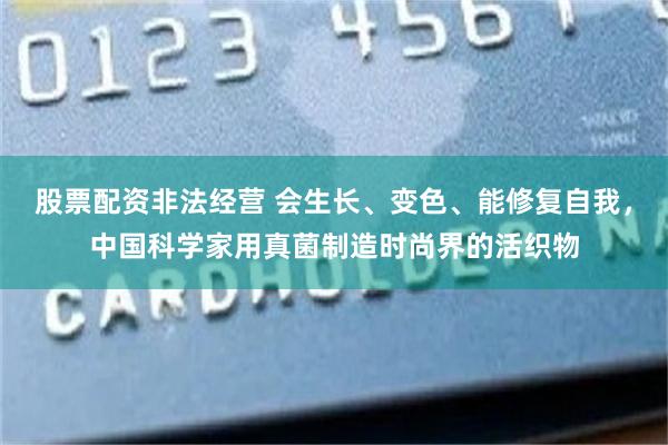 股票配资非法经营 会生长、变色、能修复自我，中国科学家用真菌制造时尚界的活织物